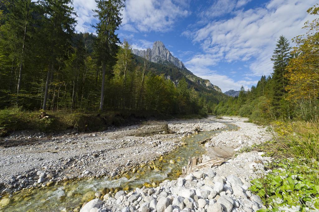 Pension Woergoetter Kirchdorf in Tirol Extérieur photo